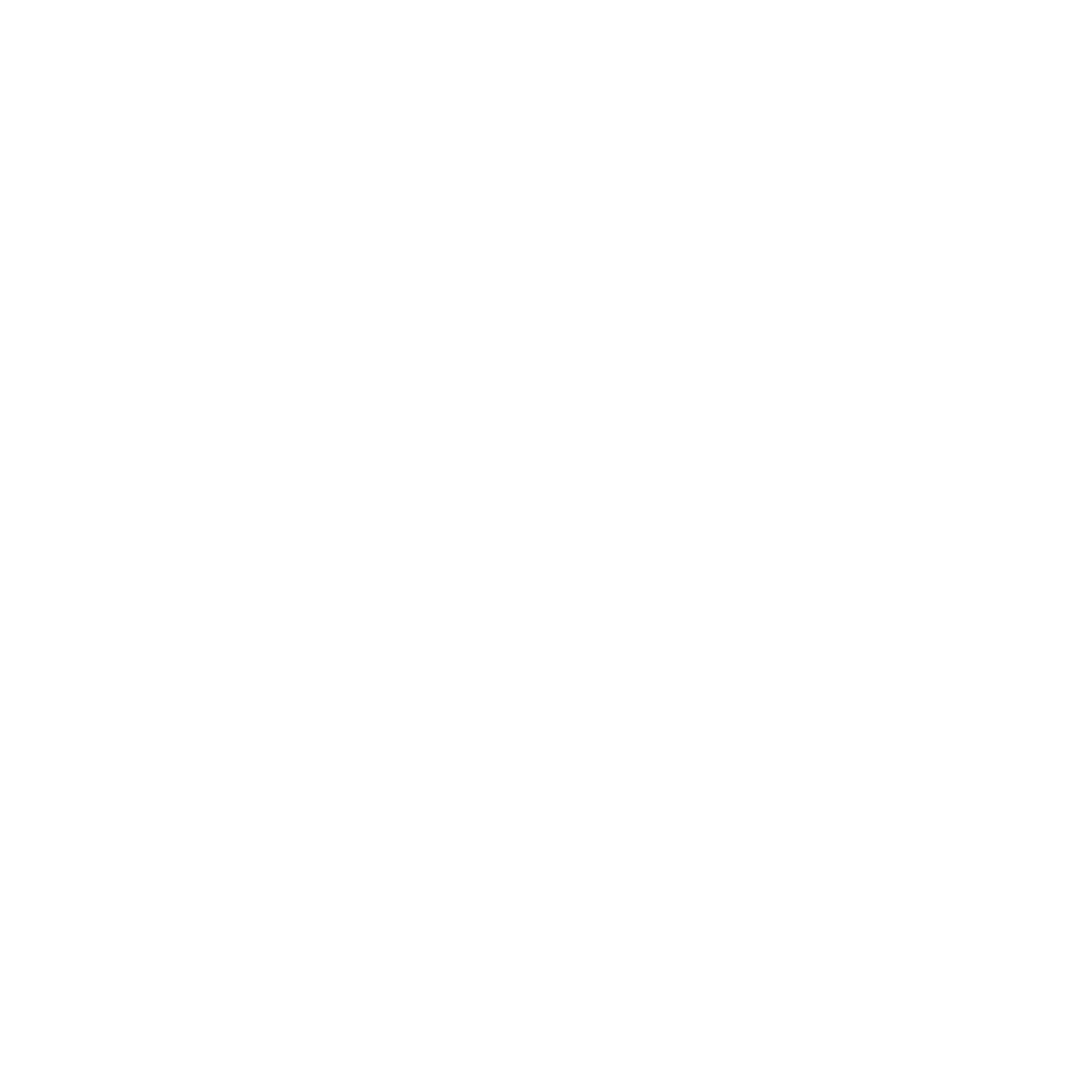 미친피자